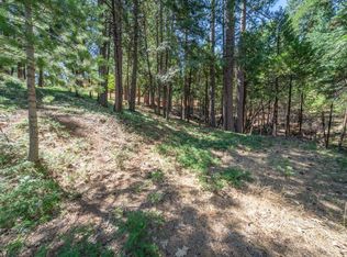 2595 Chamonix Dr, Arnold, CA 95223