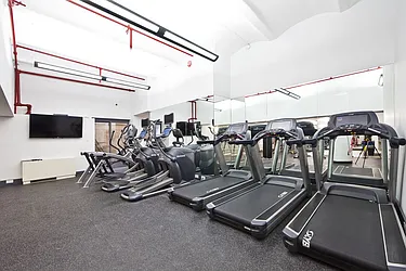 Rented by Bold New York