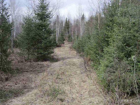 2nd image of N Swan Rd