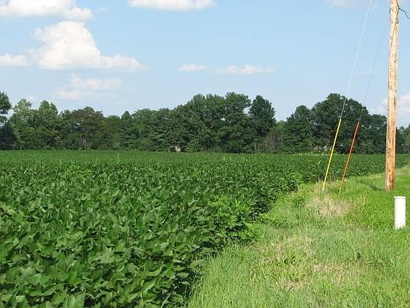 East along Fancher Rd