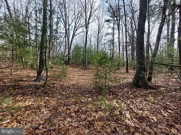 4th image of Oak Dale Ct
