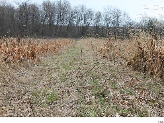 3rd image of 00 County Road 1065