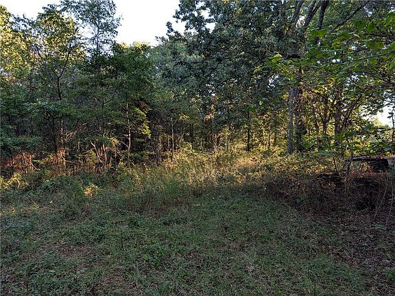 3rd image of 321 Sansing Hollow Rd
