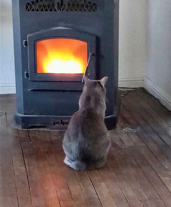 630 2nd St, Upper Lake, CA 95485 Zillow