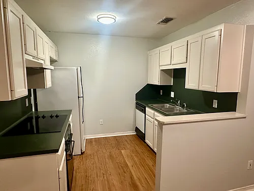 609 W Martin Luther King Blvd #609 Photo 1