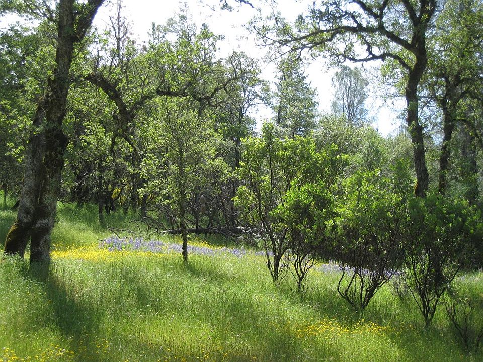 1st image of 20375 Deer Meadow Dr