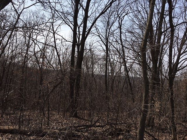2nd image of Hidden Meadow Ln
