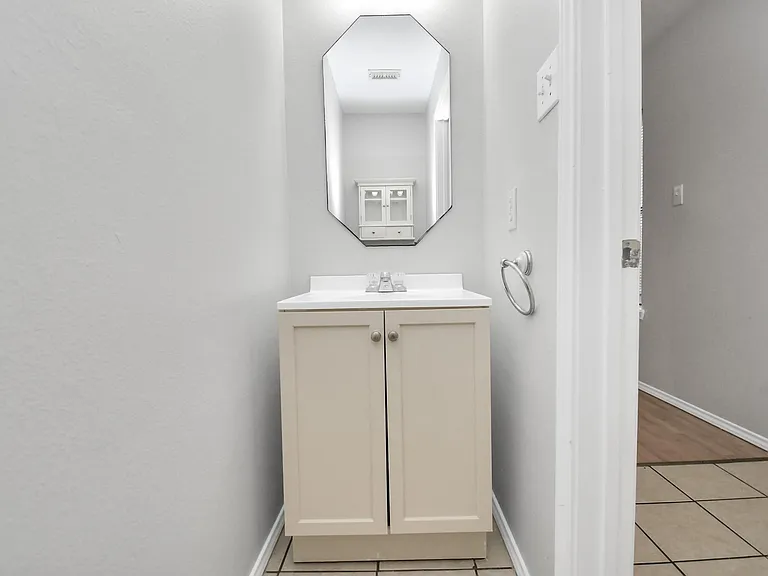 3919 Rolling Springs Ln — Photo 10