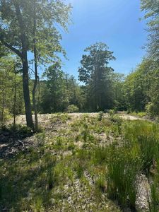 3 Whitman Ln, Woodbine, NJ, 08270