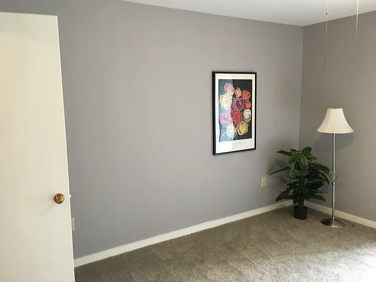 356 S Pantops Dr — Photo 28