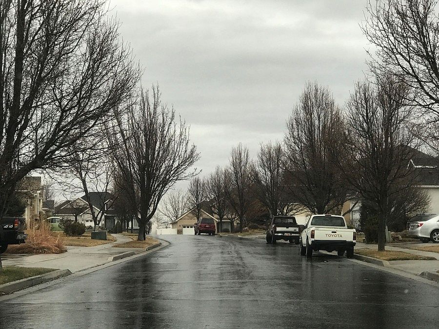 2nd image of 1253 W Bateman Pl
