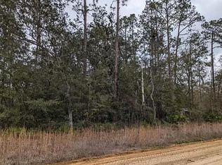 0 Patti St #2, Interlachen, FL 32148