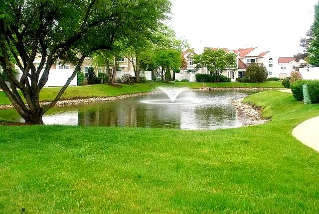Property Views