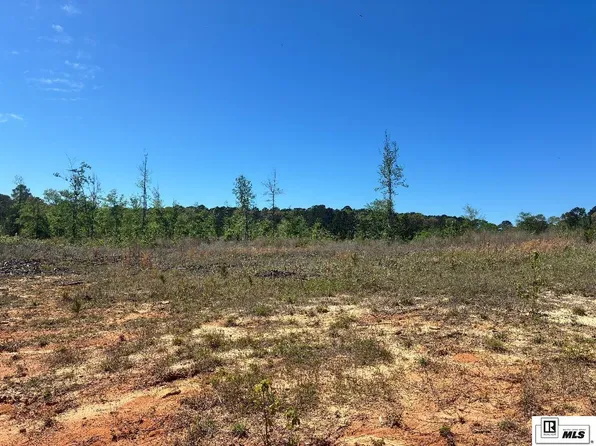 0 Highway 828, Farmerville, LA 71241