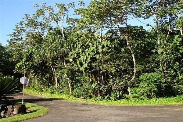 2nd image of Opakapaka St Lot 18