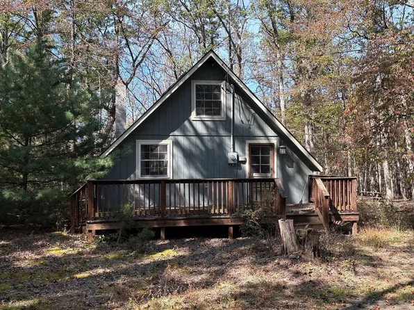 979 Ritter Dr, Capon Bridge, WV 26711