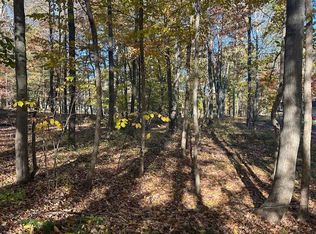 11082 Rambling Way, Stanwood, MI 49346