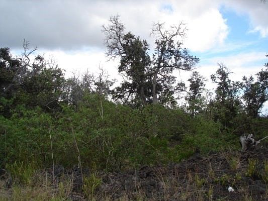 2nd image of Luau Dr Lot 2