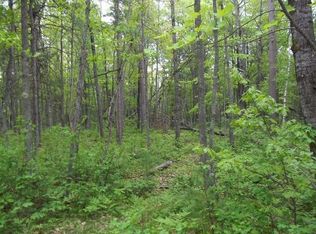 W. Hunter Lake Road, Conover, WI 54521