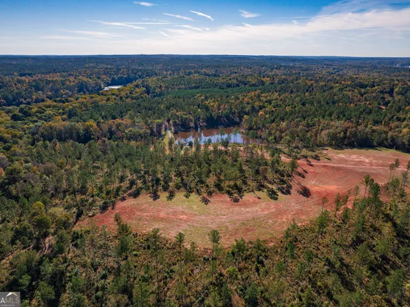 0 Old Dames Ferry Rd, Juliette, GA 31046