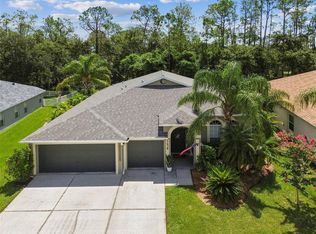 5438 Braddock Dr, Zephyrhills, FL 33541