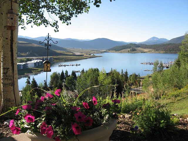 View from the patio