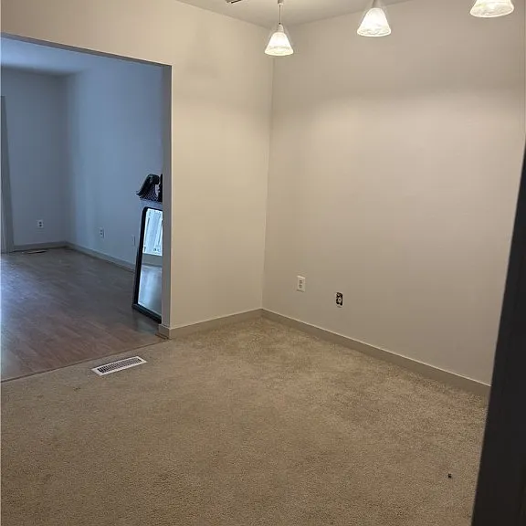 3901 McTyres Cove Ct — Photo 5