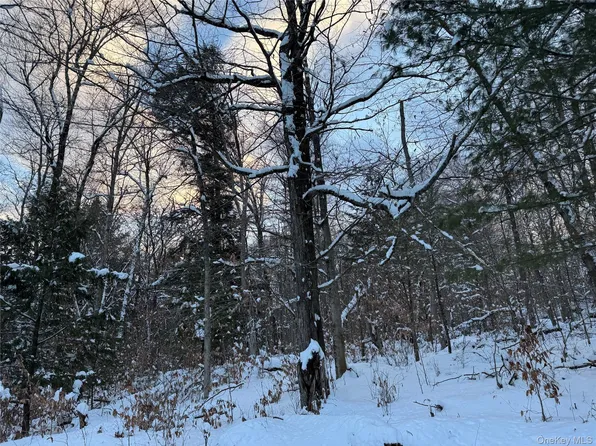 00 Starlight Road, Monticello, NY 12701