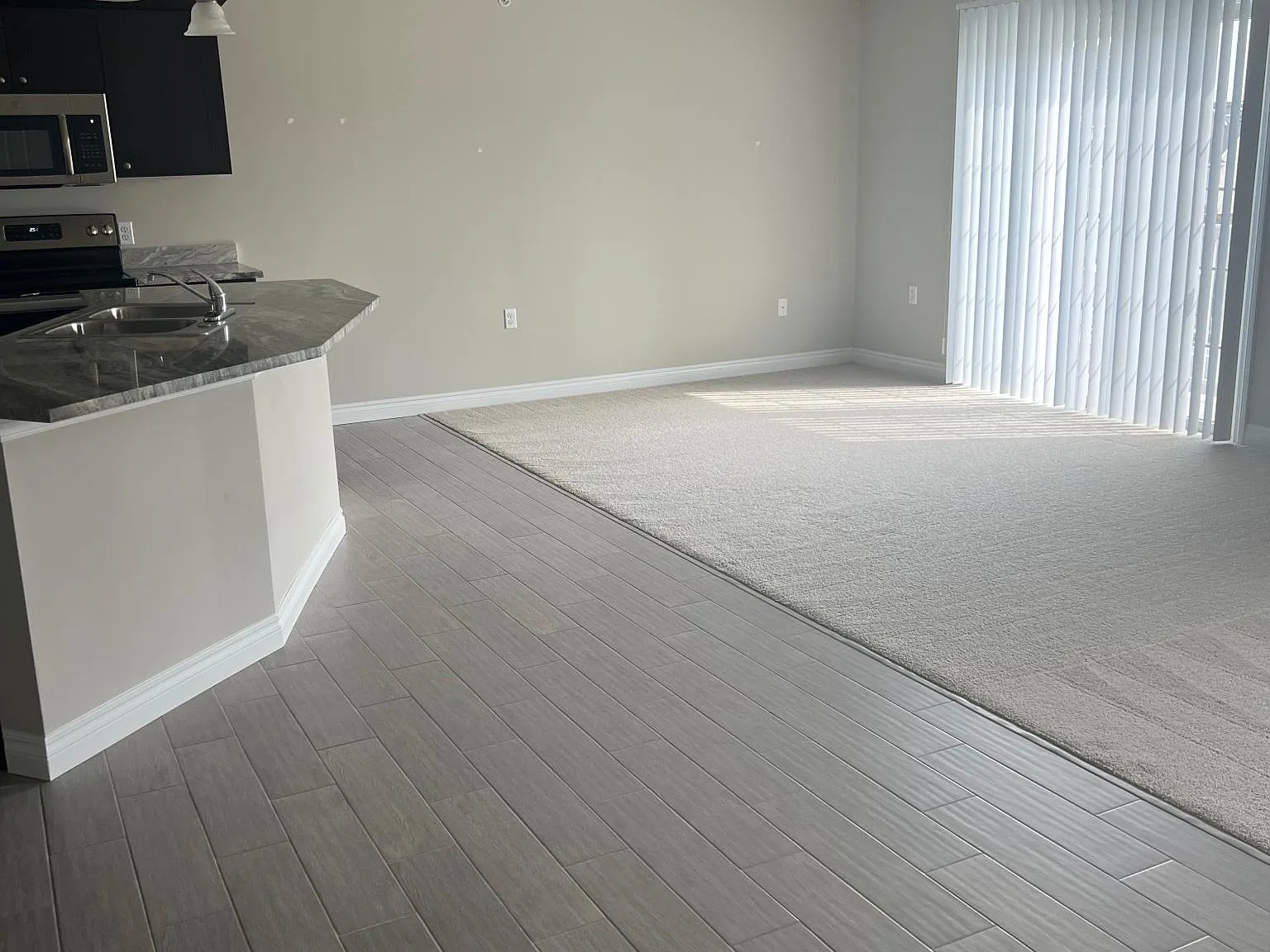 2 bed, 1450 sqft, $1,700 — Photo 3