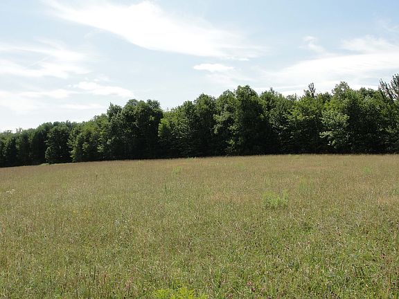 South Toward State Forest