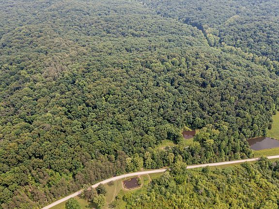 21st image of this home