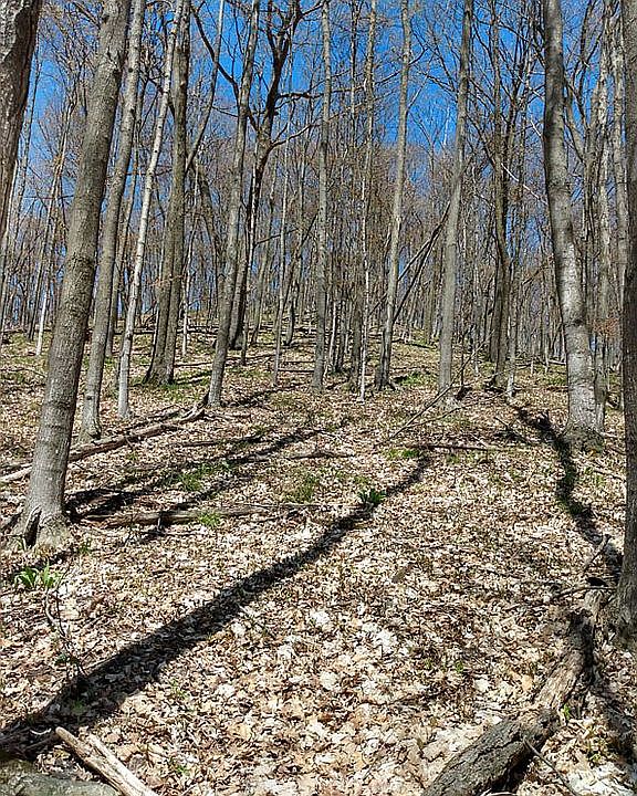 From the South side Front