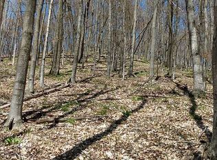 N Sweet Lake Rd, Lake ann, MI 49650