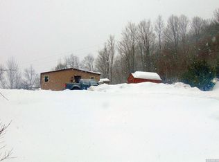 131 Coons Den Rd, Middleburgh, NY 12122