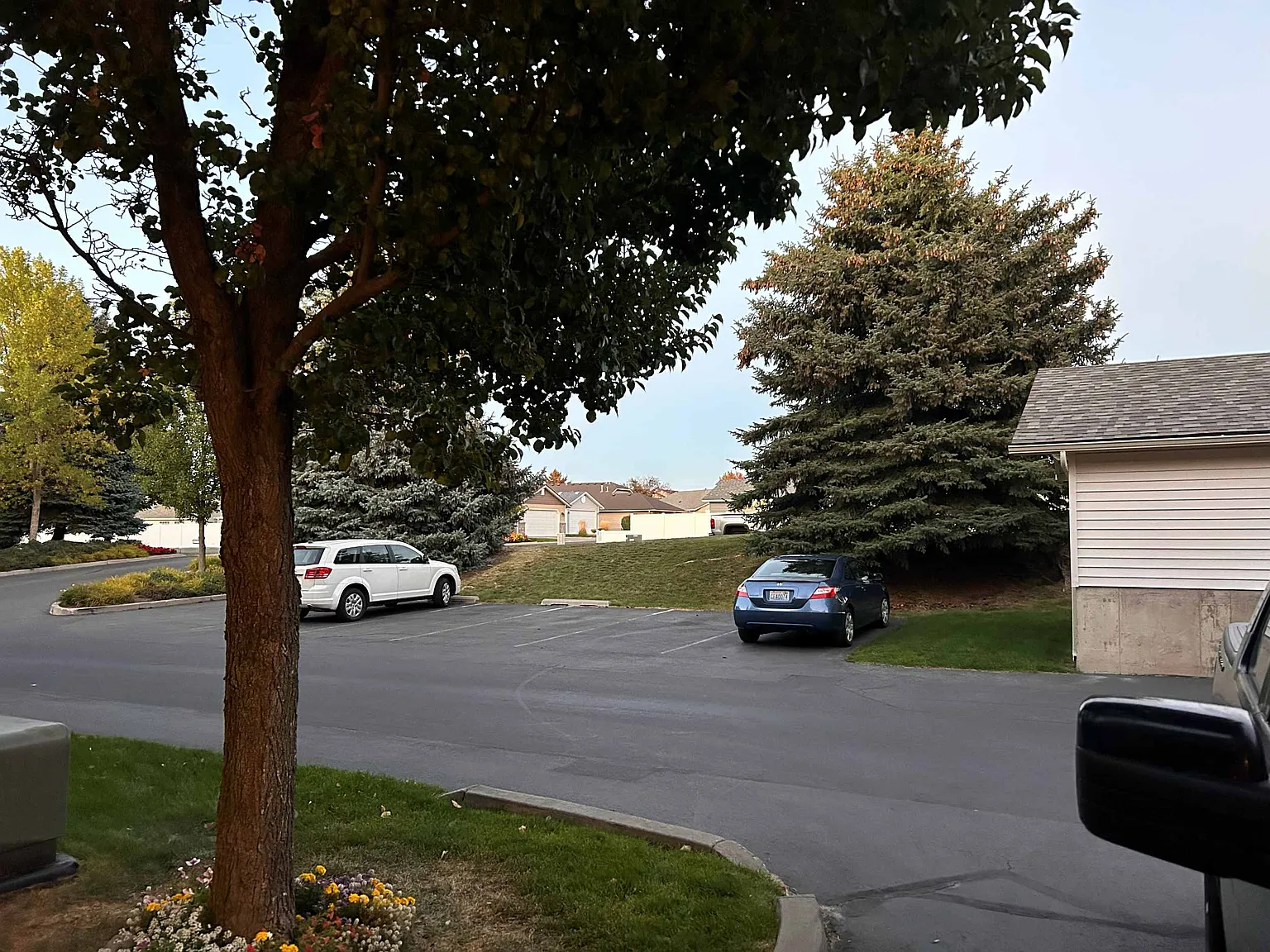 3 bed, 1145 sqft, $2,020 — Photo 2