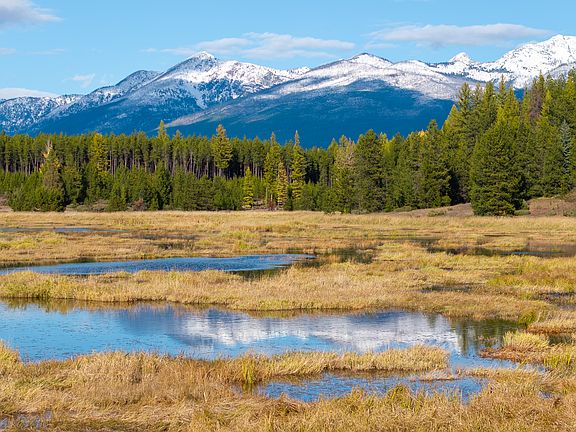 15th image of this home