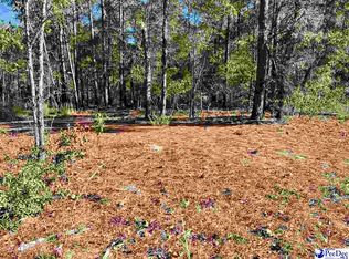 Tbd Sheppard Ct, Mullins, SC 29574