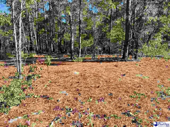 Tbd Sheppard Ct, Mullins, SC 29574