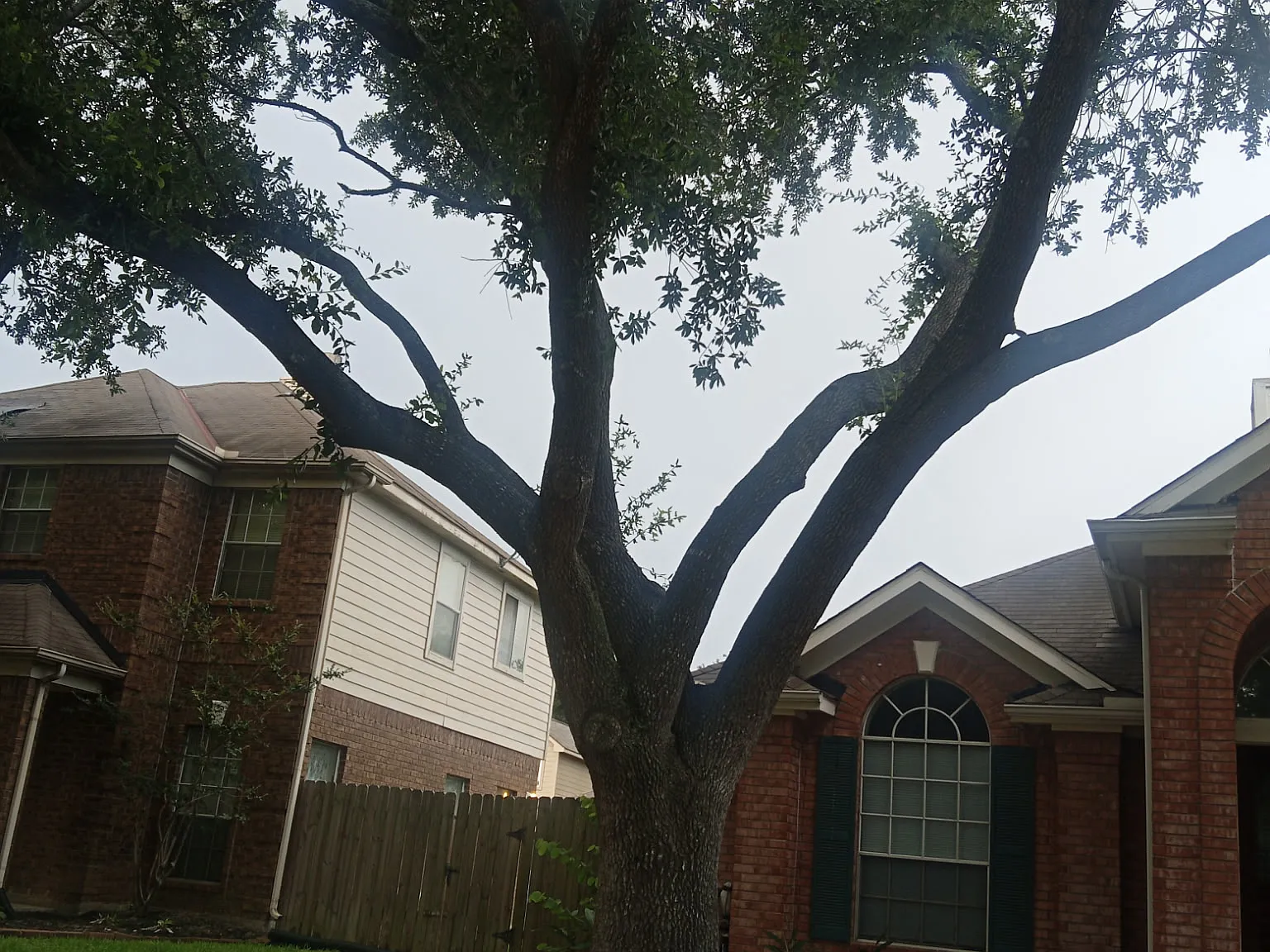 3 bed, 2.5 bath, 1475 sqft, $1,950 — Photo 2