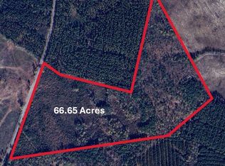 0 305 Highway, Midville, GA 30441