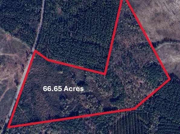 0 305 Highway, Midville, GA 30441