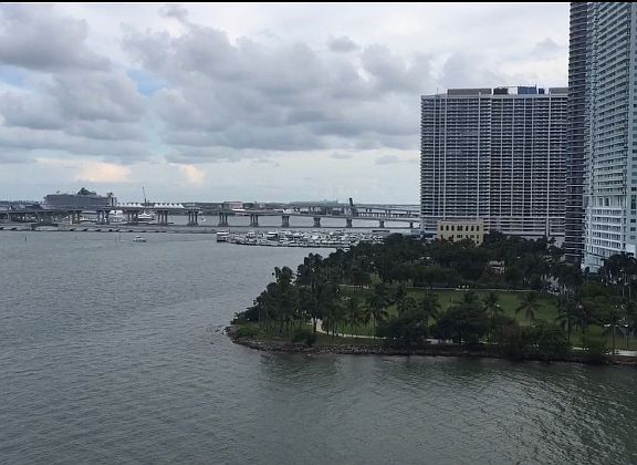 5th image of 2121 N Bayshore Dr APT 1113