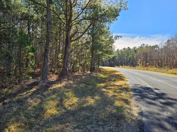 William Brunson Rd, Summerton, SC 29148