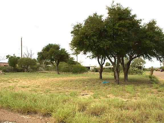 4th image of 2161 Retama Dr