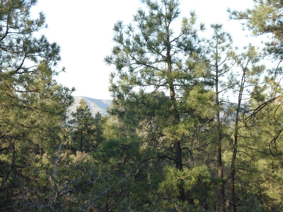 Granite Dells View
