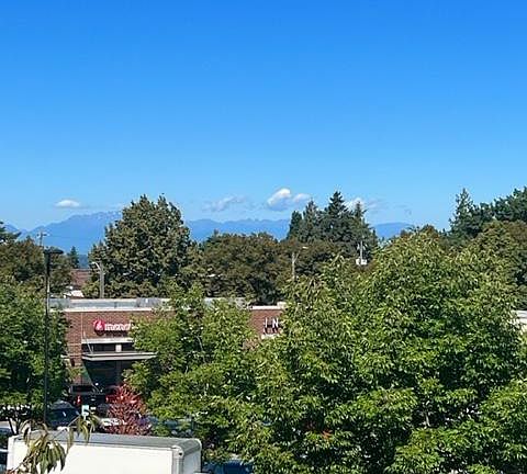 View from the Deck