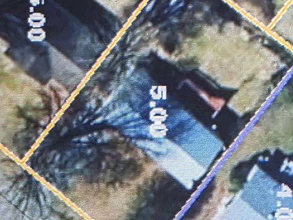 2nd image of 80 Canterbury Ln