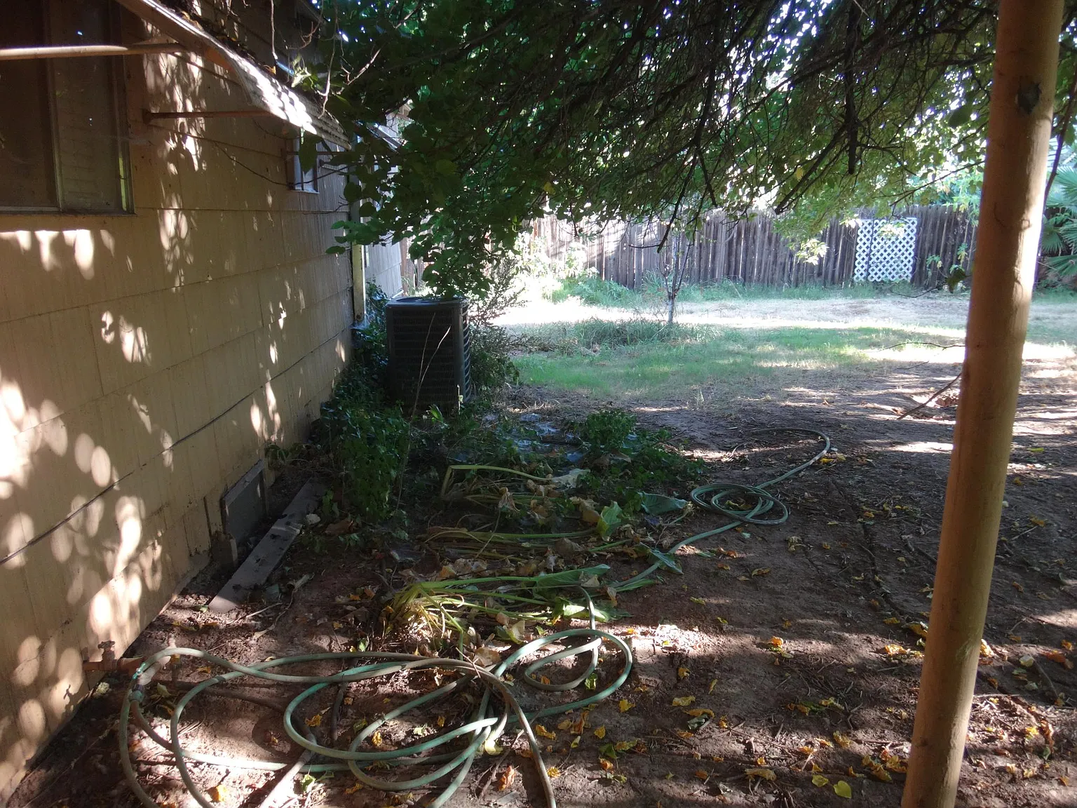 2 bed, 1000 sqft, $2,195 — Photo 3