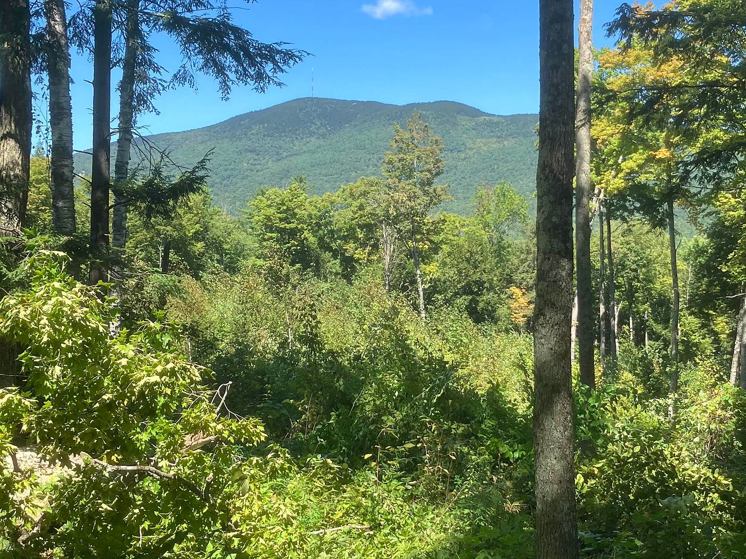 1227 VT Rt 131, Perkinsville, VT 05151 MLS 4969345 Zillow