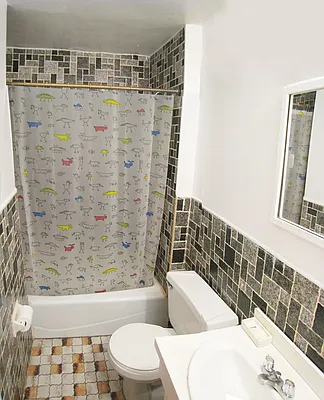 Rented by Eric Goodman Realty Corp | media 29